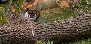 Best Lawn Watering Services  in Eatontown, NJ