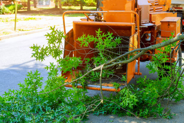 Best Lawn Drainage Solutions  in Eatontown, NJ