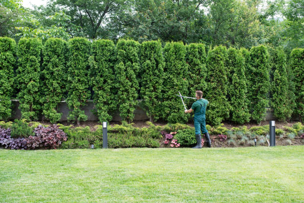 Best Hedge Trimming  in Eatontown, NJ