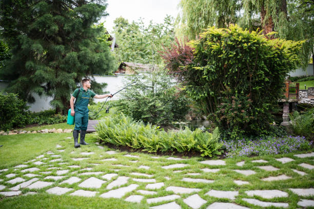 Best Organic Lawn Care Solutions  in Eatontown, NJ