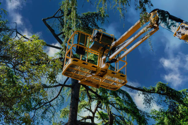  Eatontown, NJ Tree Services Pros