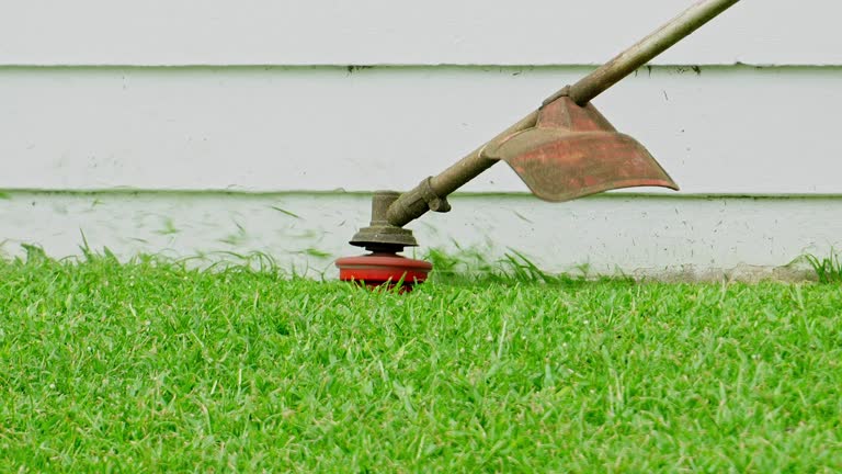 Best Tree Health Inspection  in Eatontown, NJ
