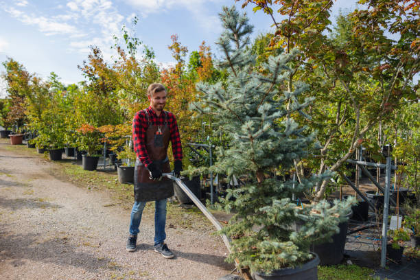 Best Emergency Tree Removal  in Eatontown, NJ