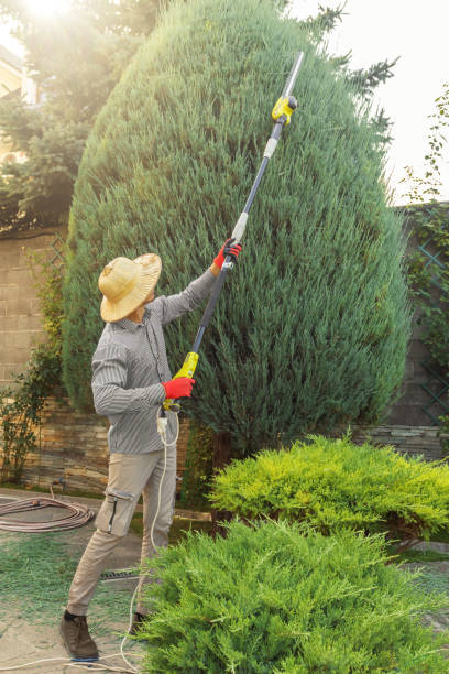 Best Firewood Processing and Delivery  in Eatontown, NJ